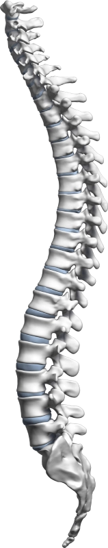 tratamento-hernia-de-disco-descompressao-da-coluna-vertebral-em-caxias-do-sul